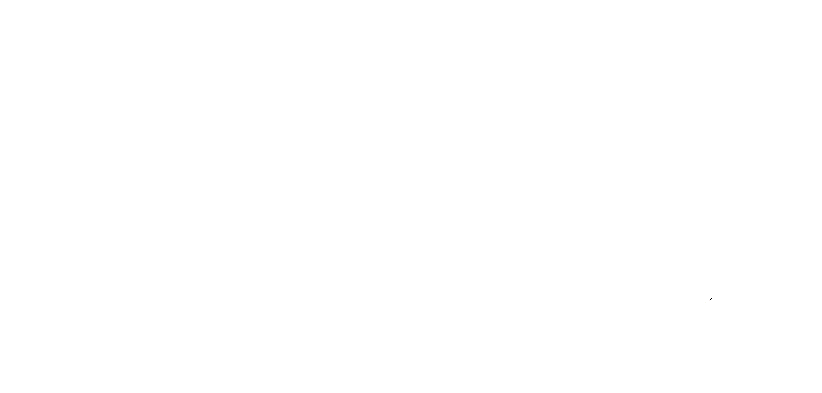 Logo Friedrich-Alexander-Universität